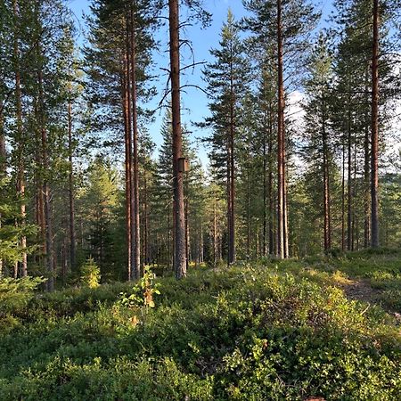 Loppiaiskaari 5, Paljakka Puolanka Exterior foto