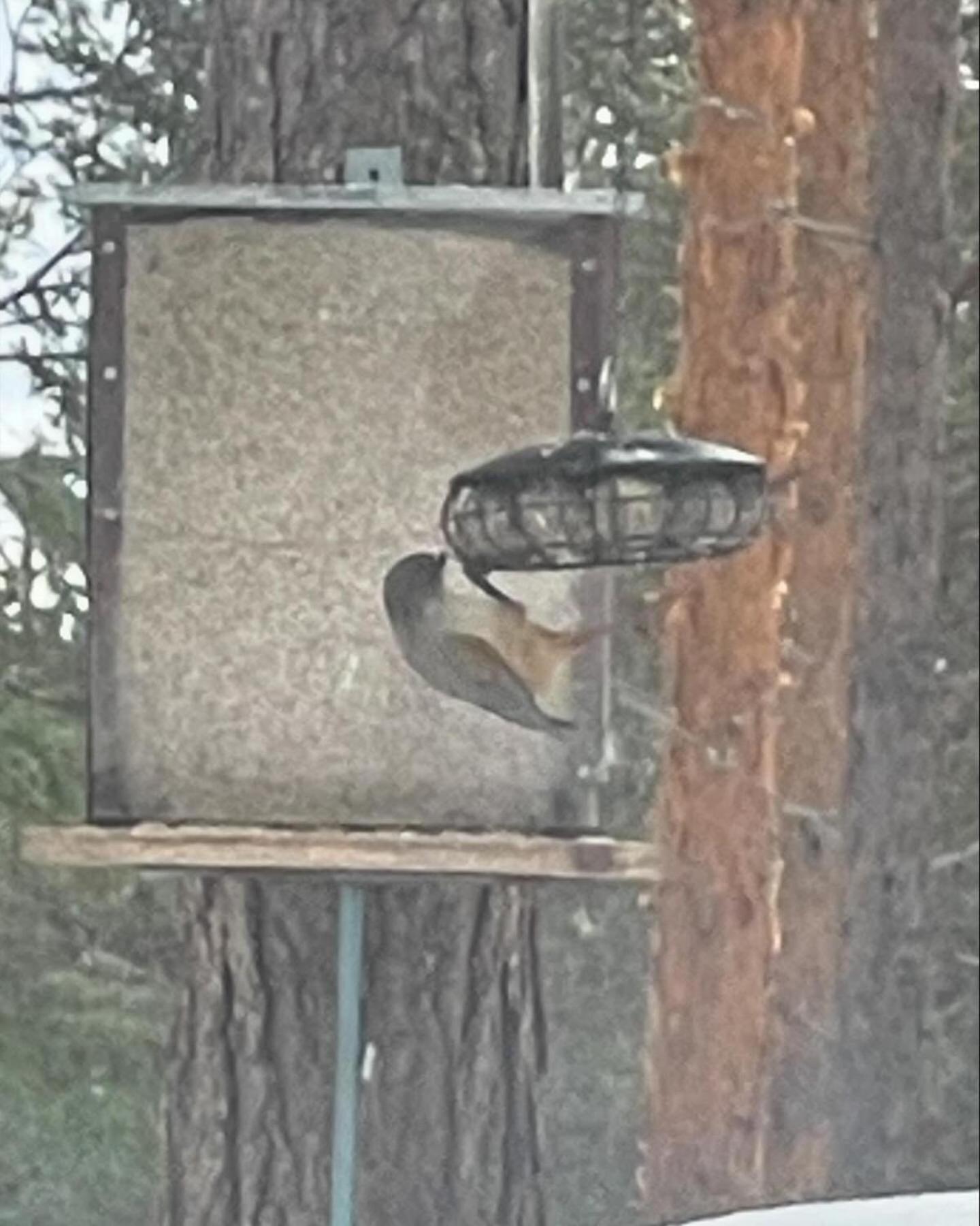 Loppiaiskaari 5, Paljakka Puolanka Exterior foto