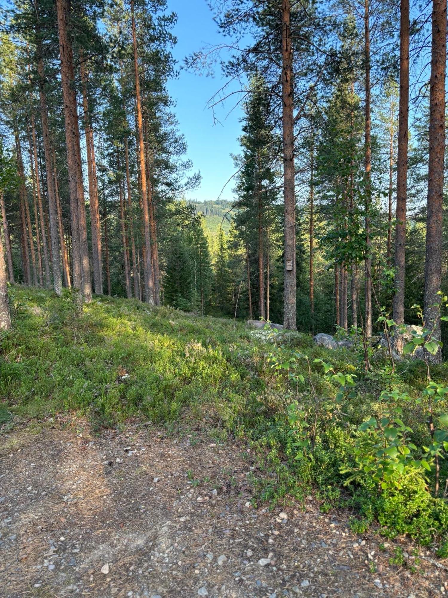 Loppiaiskaari 5, Paljakka Puolanka Exterior foto