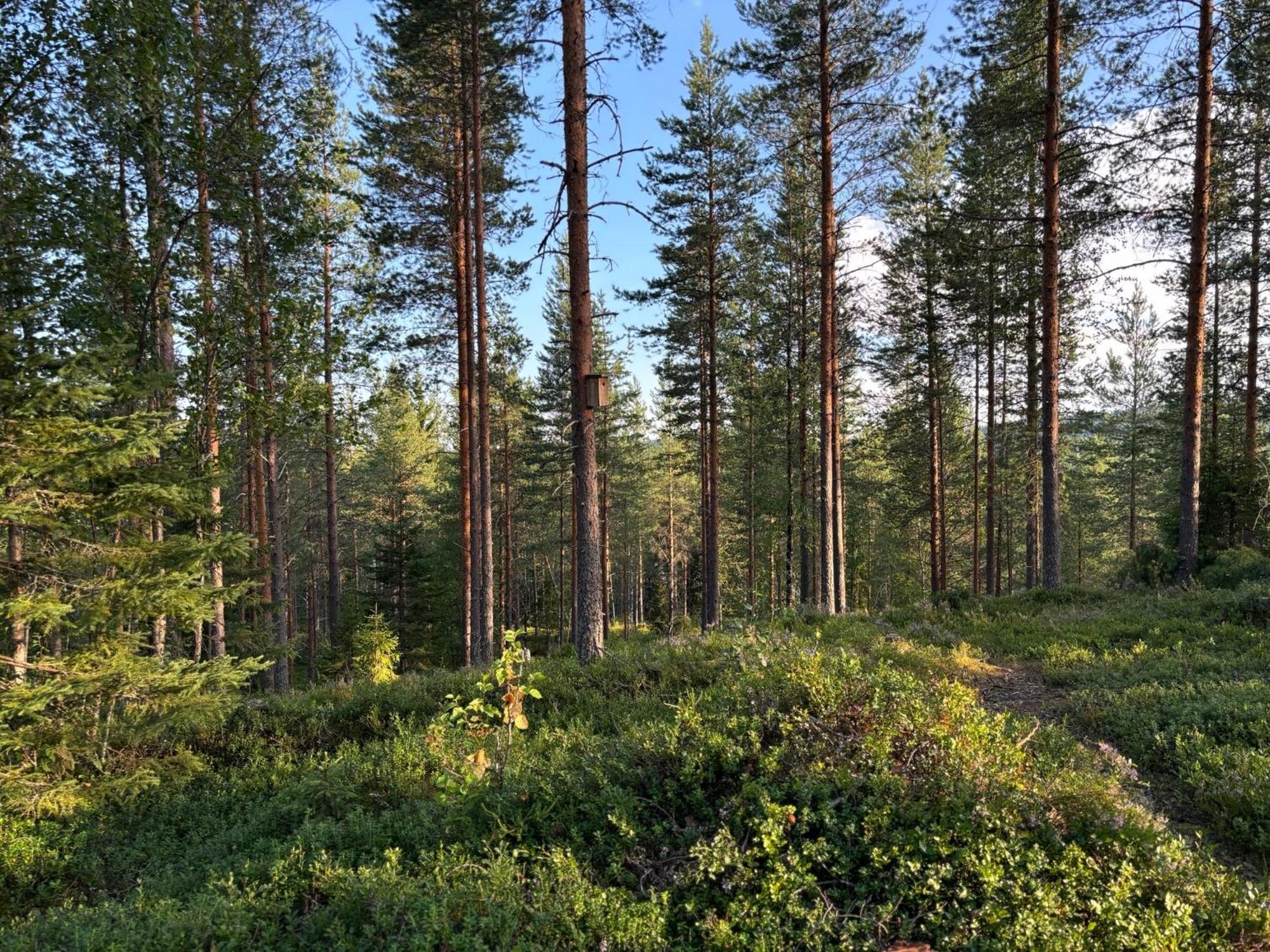 Loppiaiskaari 5, Paljakka Puolanka Exterior foto