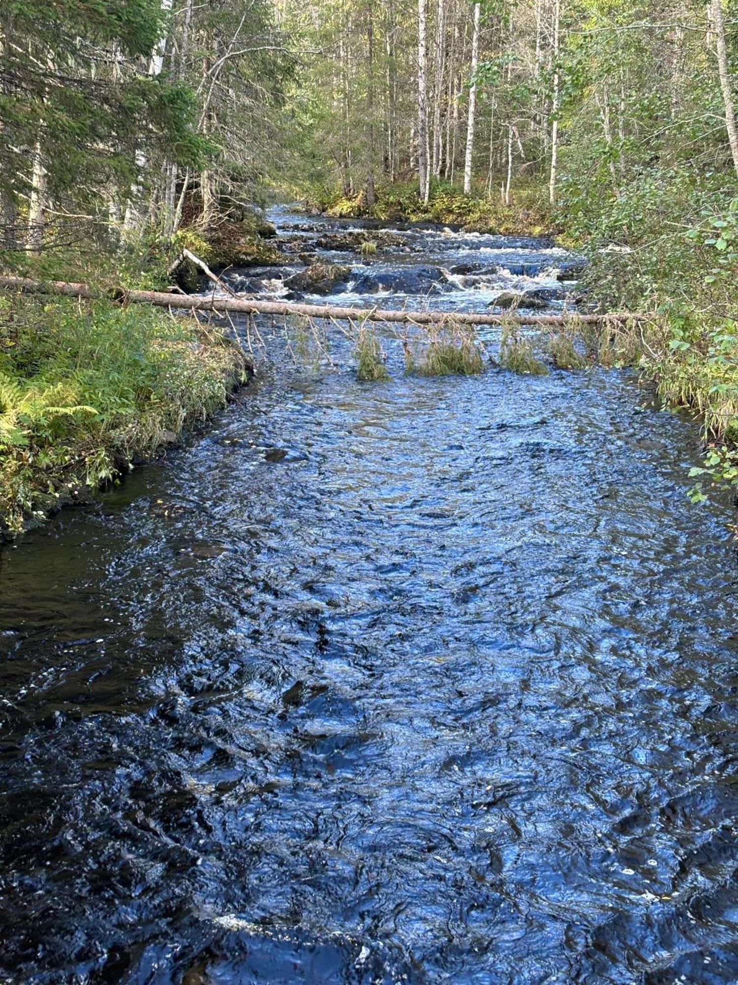 Loppiaiskaari 5, Paljakka Puolanka Exterior foto